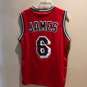 Lebron James Miami Heat Hardwood Classics